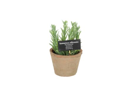 Kunstplant Rozemarijn H18cm