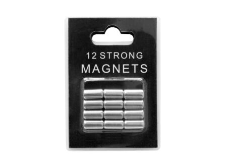 Magneten zilver, set van 12