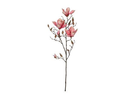 Decoratietak Magnolia H88cm
