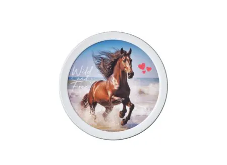 Overzichtsfoto - Fruitdoos Campus 300ml wild horse
