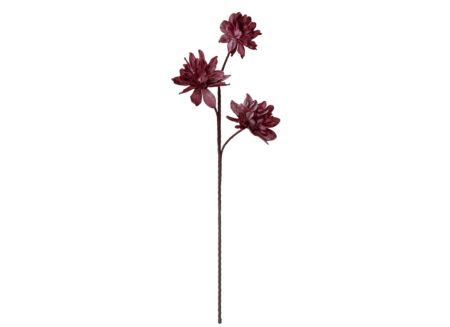 Kunstbloem Eva Marsala H80cm - kunststof - rood