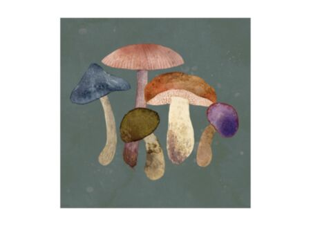 Serviette Mushroom 25x25cm - papier - multicolor - 20 stuks