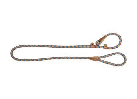 Leiband hond 180cm regenboog