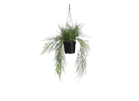 Hangende kunstplant Varen H43cm