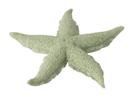 Figuur Zeester 30x30x4cm - polyresine - muntgroen