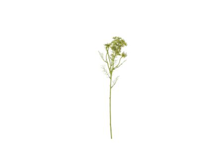 Kunstbloem Daucus H61cm - kunststof - groen