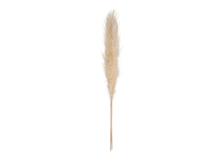 Decoratietak Pampa H110cm