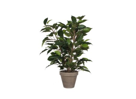 Kunstplant Ficus Natasja + pot Stan H40cm