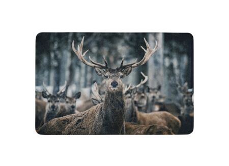 Deurmat Winter hert 75x50cm - polyestervezel - multicolor
