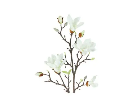 Detail - Fleur artificielle Magnolia H101cm