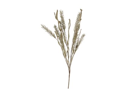 Decoratietak Dried-Look Erica H60cm