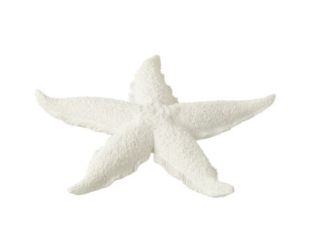 Deco Zeester Ø30cm - polystone - wit