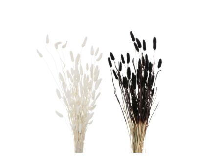 Decoratietak Hazenstaart 70cm - gedroogde materie - wit/zwart