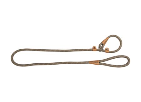 Leiband hond 180cm beige