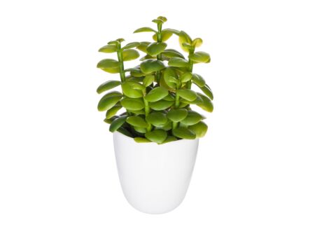 Kunstplant Cactus H18cm