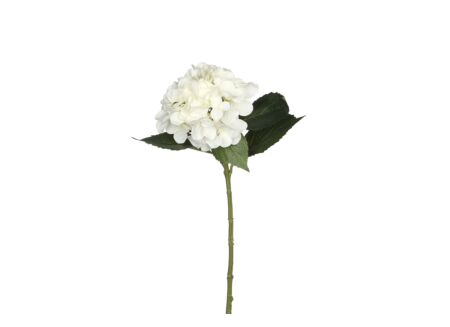 Decoratietak Hortensia H51cm