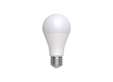 Ledlamp Classic 10W E27