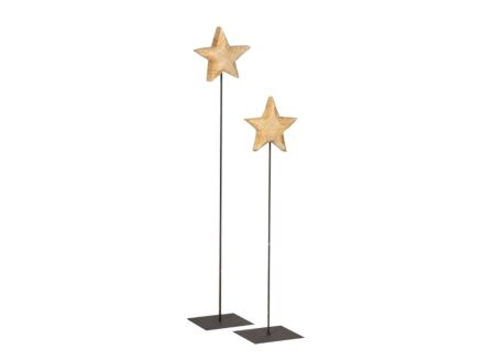 Deco Ster Teak op voet H90cm