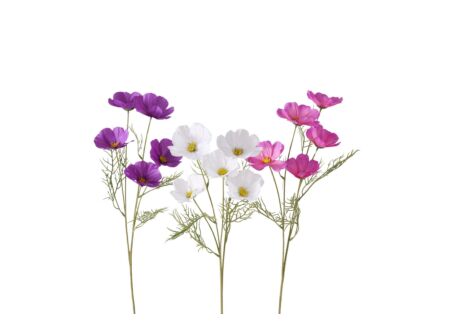 Kunstbloem Cosmea H67cm - kunststof - multicolor