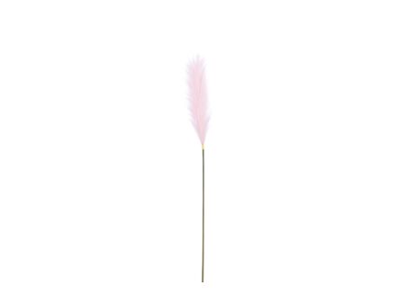 Decoratietak Pluimgras H104cm