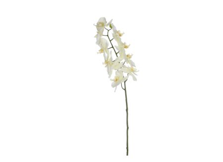 Decoratietak Phalaenopsis H71cm