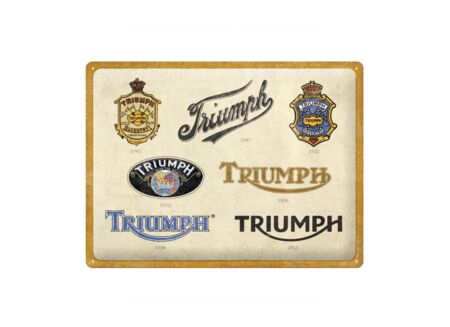 Plakkaat Triumph 40x30cm - metaal - multicolor