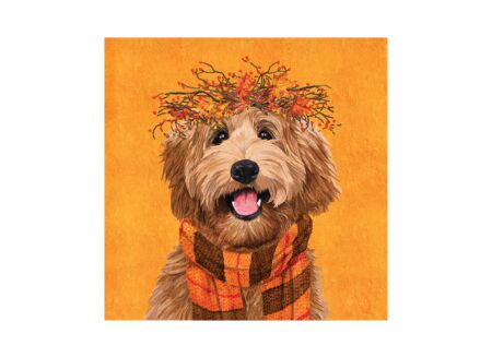 Serviette Dudley 33x33cm oranje 20 stuks
