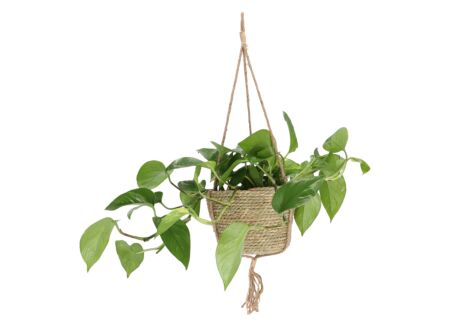 Hangbloempot Indoor Ø20xH13cm - jute - naturel
