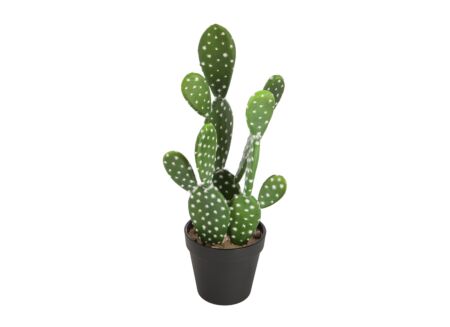 Kunstplant Cactus Nomade H42cm