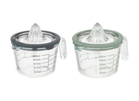 Fruitpers Neo 0,5L