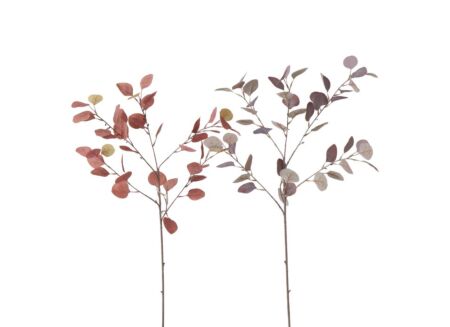 Decoratietak Eucalyptus H91cm