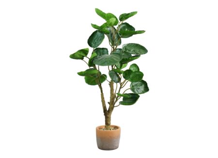 Kunstplant Aralia H70cm