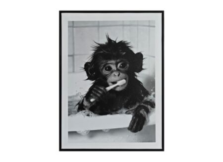 Print op canvas Monkey 30x40cm