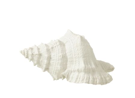 Deco Zeeschelp  H13cm - polystone - wit