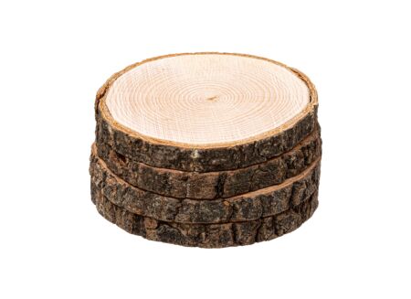 Onderzetters voor glazen Hout Ø10cm set van 4