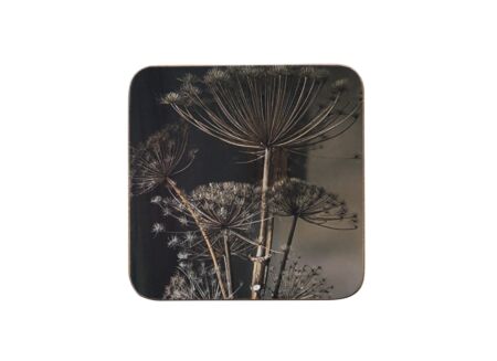 Onderzetters voor glazen Berenklauw 10x10cm - kurk - bruin set van 2