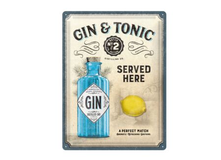 Plakkaat Gin Tonic 40x30cm - metaal - multicolor