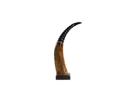 Koehoorn op hout H45cm
