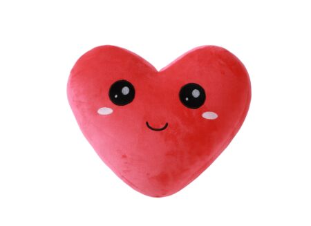 Knuffel Follow Your Heart