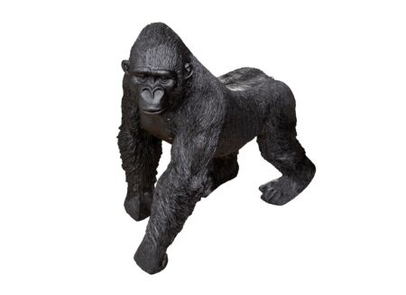 Beeld Gorilla H22,5cm