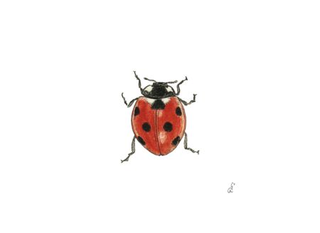 Serviette Madeleine 25x25cm - papier - rood 20 stuks