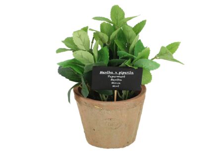 Kunstplant Munt H20cm