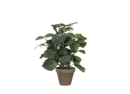 Kunstplant Pilea + pot Stan H35cm