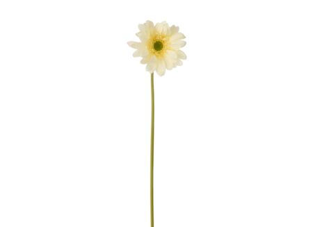 Kunstbloem Gerbera H65cm - kunststof & stof - ecru