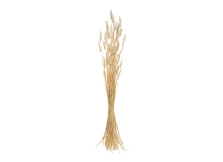 Boeket gedroogde bloemen H78cm