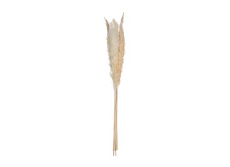 Decoratietak Pampa H65cm