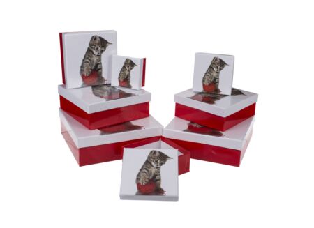 Giftbox Cat - karton - rood/wit set van 8
