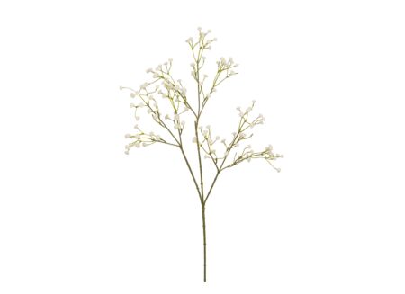 Decoratietak Gibskruid H60cm