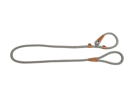 Leiband hond 180cm grijs