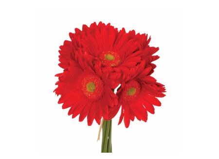 Kunstbloem Gerbera H26cm, 7 stuks
